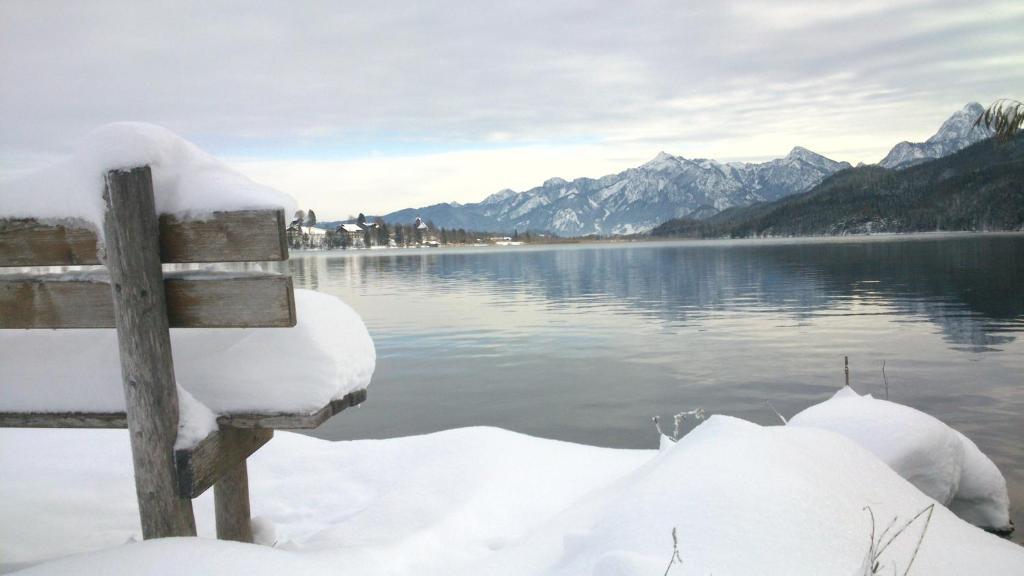 Dreimaderlhaus - Das Vegetarische Boutique Hotel Füssen Exteriör bild